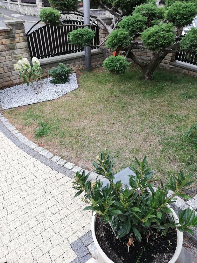 Apartament Bardzo Popularny Boleslawiec  Exterior photo